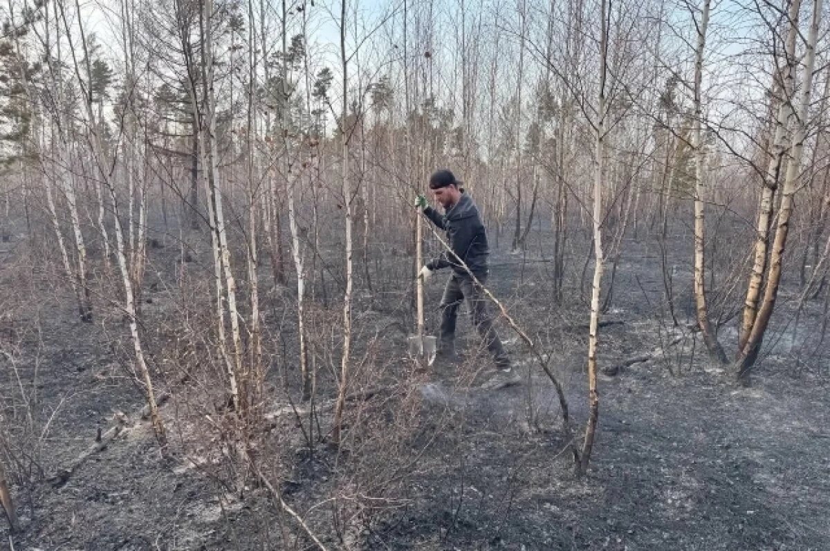    Пожары начинаются с апреля