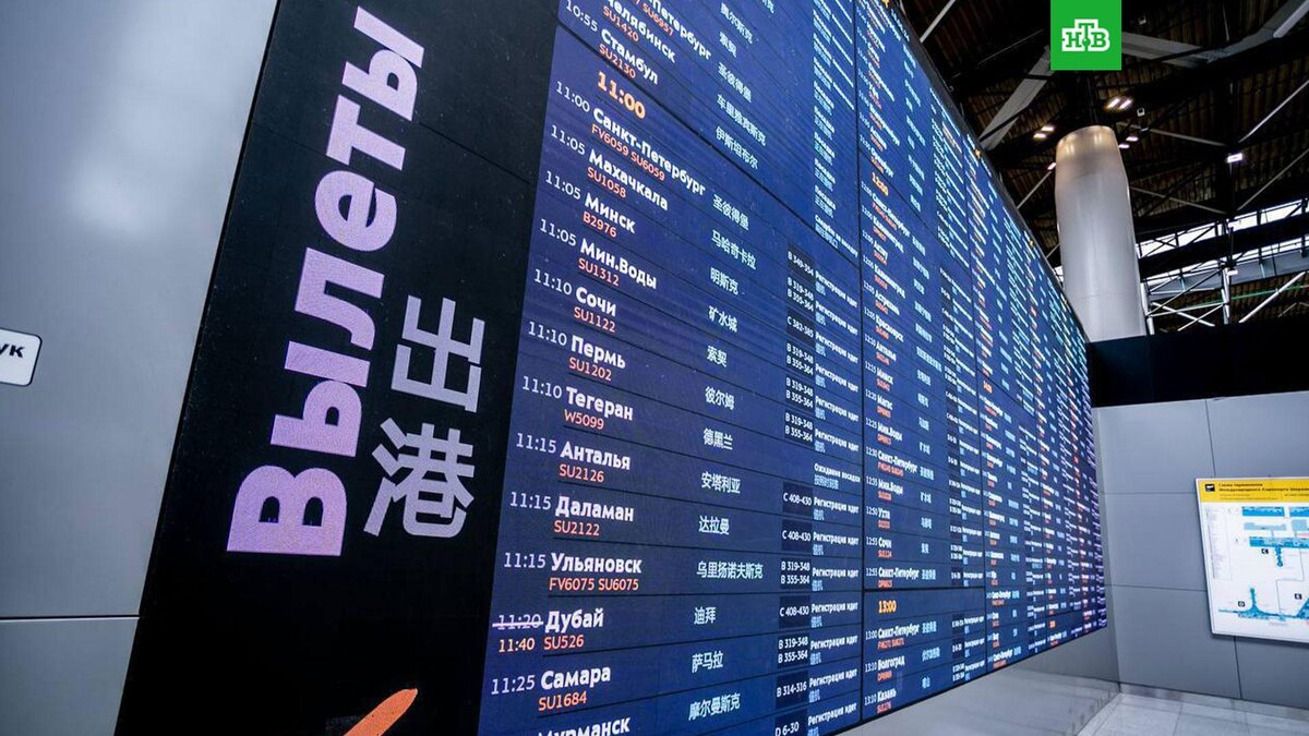    Фото: svo_online / t.me