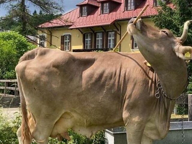    Фото: dailymail.co.uk