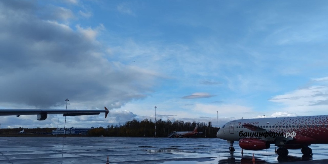 Революция в небе: что изменится для пассажиров с инвалидностью в аэропорту