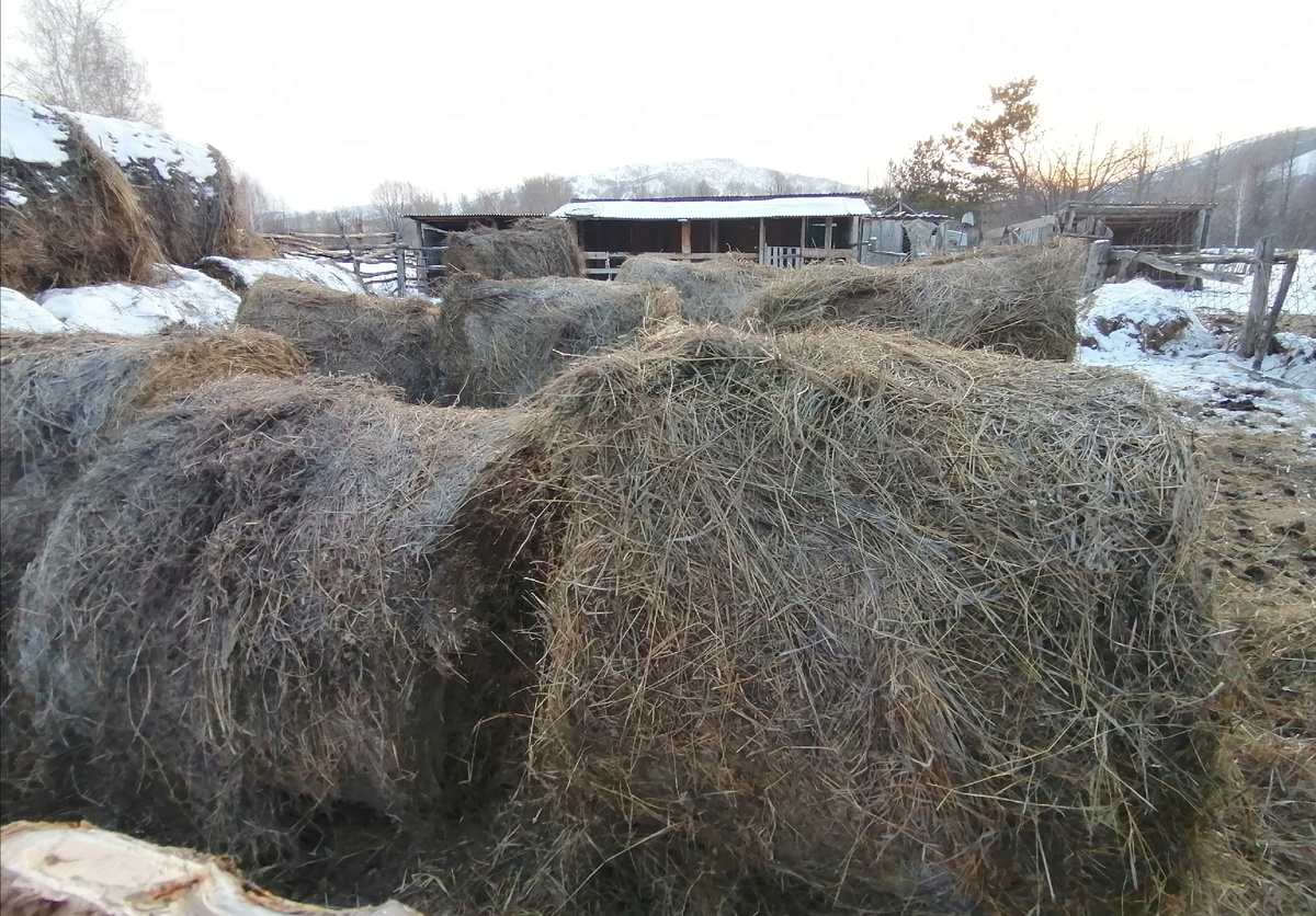 В день раскатываю по такому тюку, хорошее силовое упражнение. 