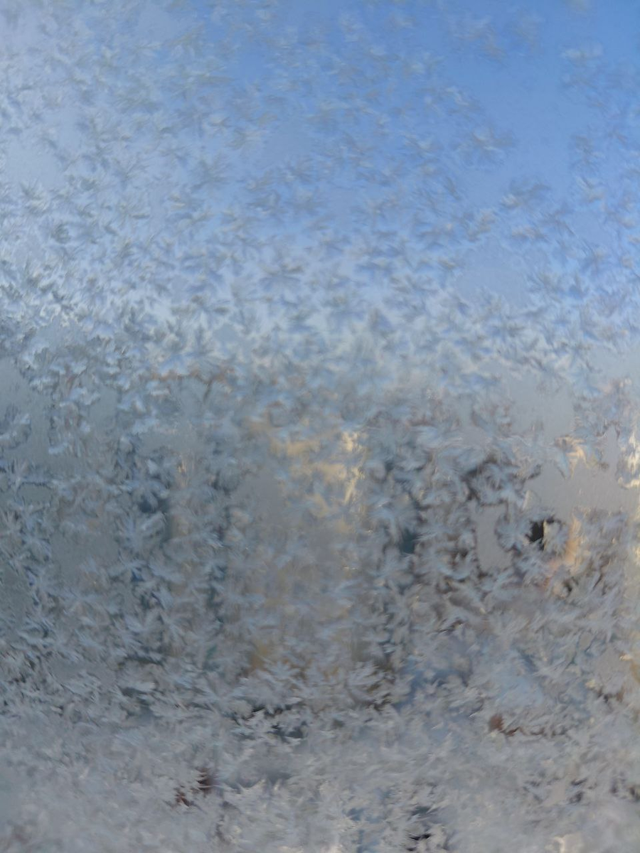 Фото автора.