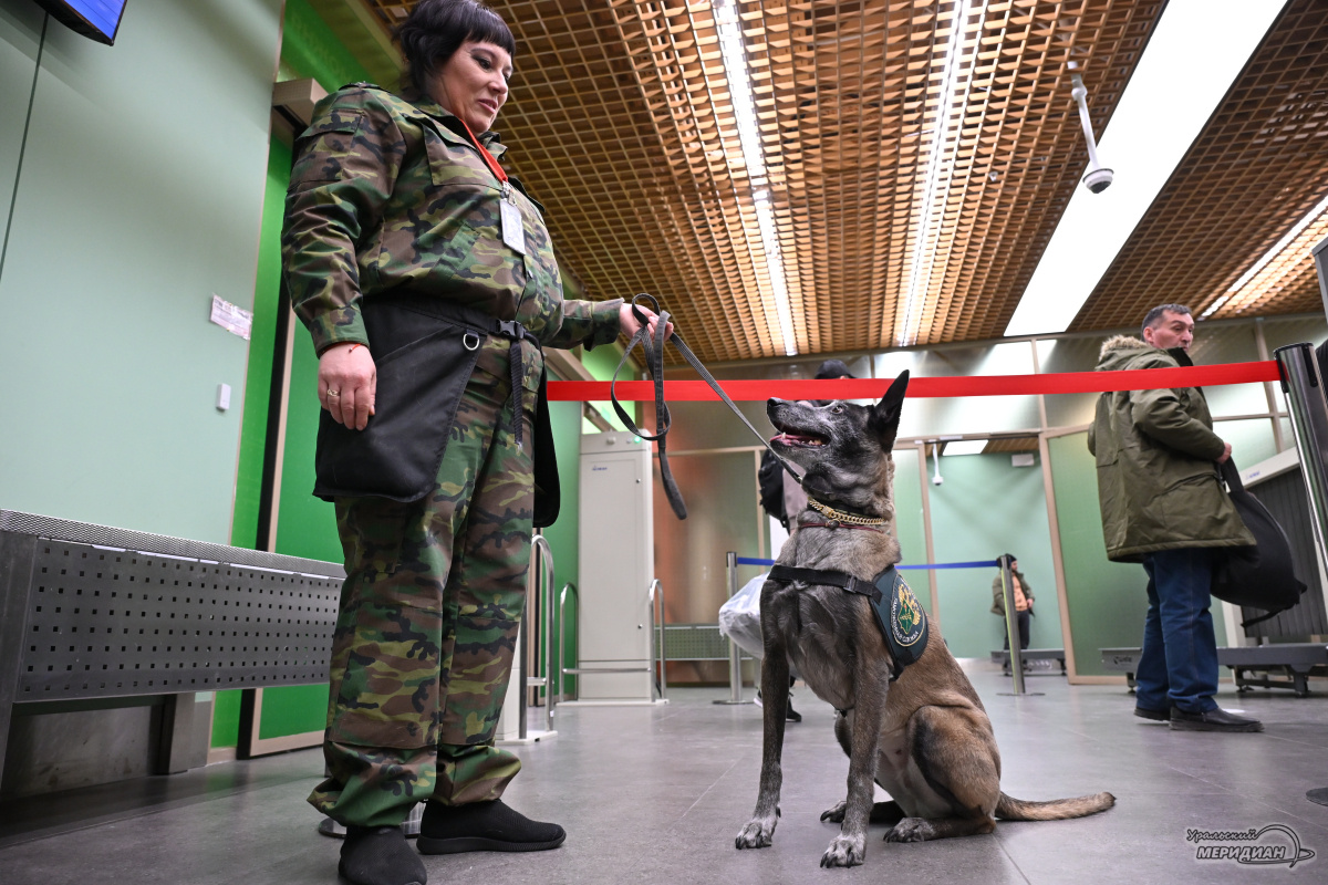    Фото: Анастасия Сибирякова © ИА «Уральский меридиан»