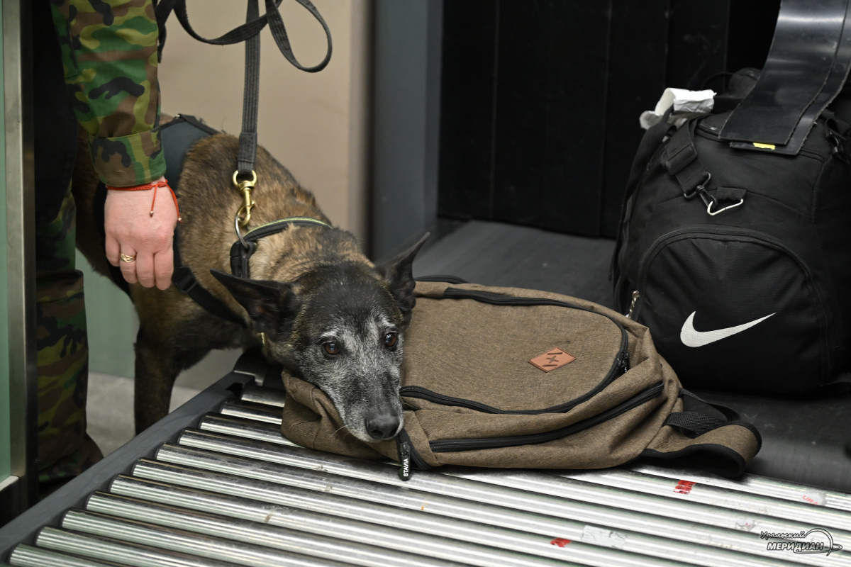    Фото: Анастасия Сибирякова © ИА «Уральский меридиан»