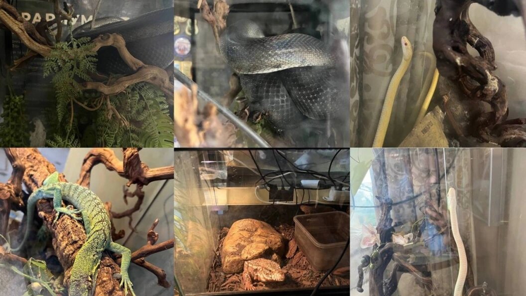    Прокуратура Москвы