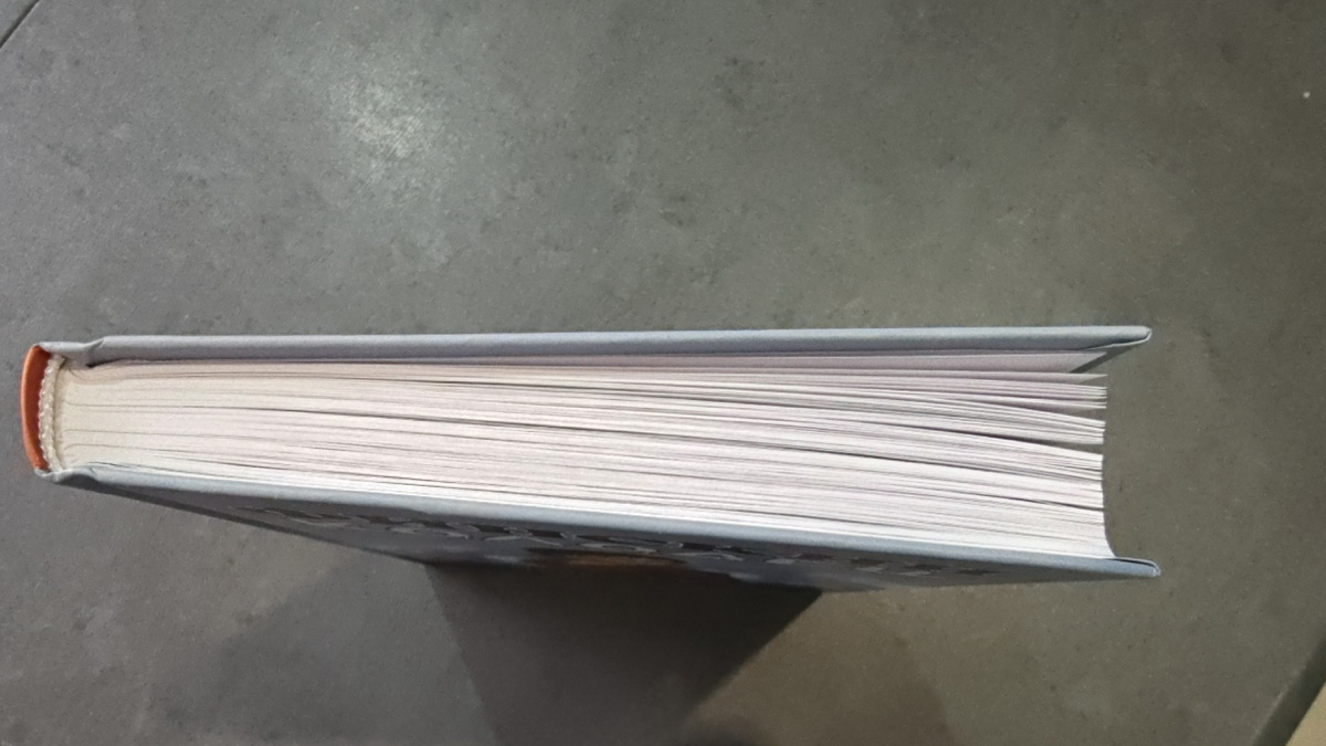 250 страниц, читается очень легко