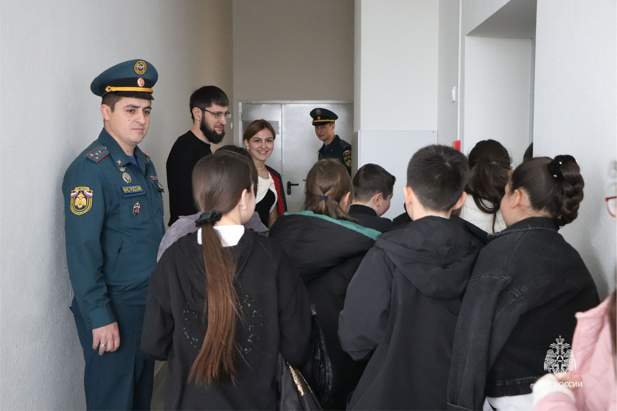 Основная деятельность