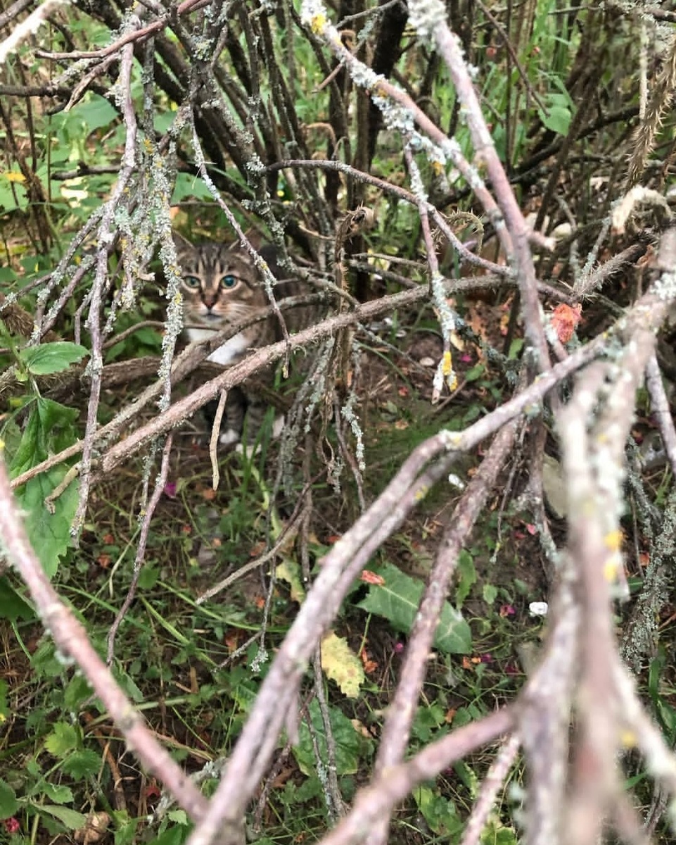 Фото автора. В тот самый день когда я ее увидела.
