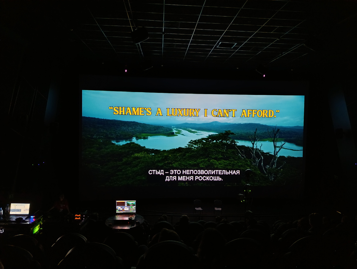 Цветная фотография горизонтальной ориентации. Тёмный зал кинотеатра. Первые ряды, на креслах сидят зрители. Тут же на двух столиках светятся ноутбуки. На большом экране уходящая вдаль гладь реки, утопающая в буйной заросли тропических лесов. На переднем плане справа большое сухое дерево. В верхней части экрана крупным жёлтым шрифтом надпись: «SHAME´S A LUXURI I CAN´T AFFORD», ниже перевод, более мелким белым шрифтом: «Стыд – это непозволительная для меня роскошь».