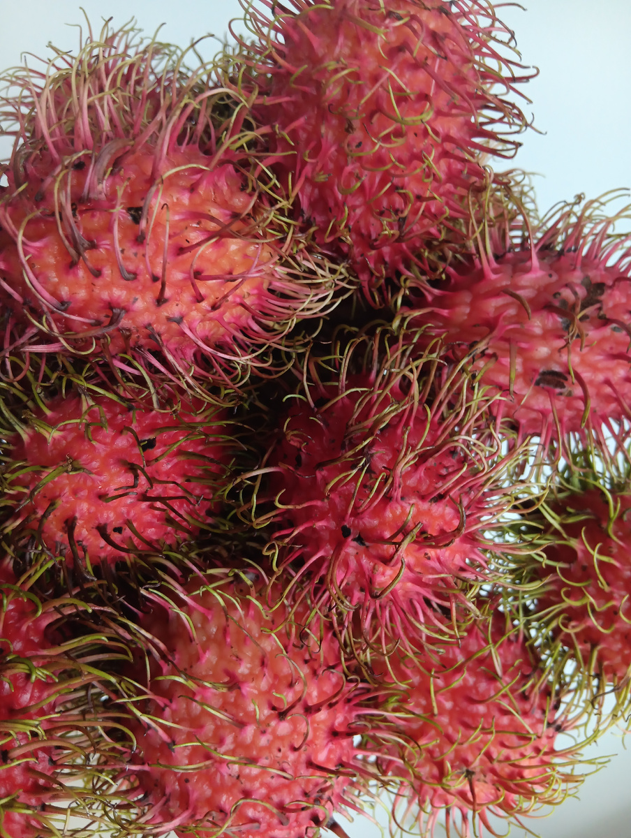 Рамбутан волосатый)