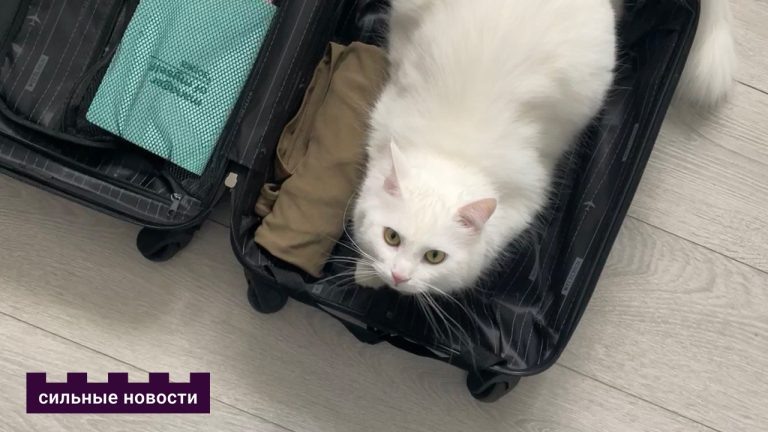 Пяць новых краін, куды беларусам стаў дасяжны бязвіз. Расказваем, як дабрацца і што важна знаць турыстам