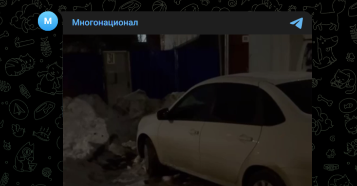 Фото: Telegram-канал "Многонационал"
