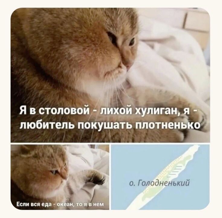 фото из интернета