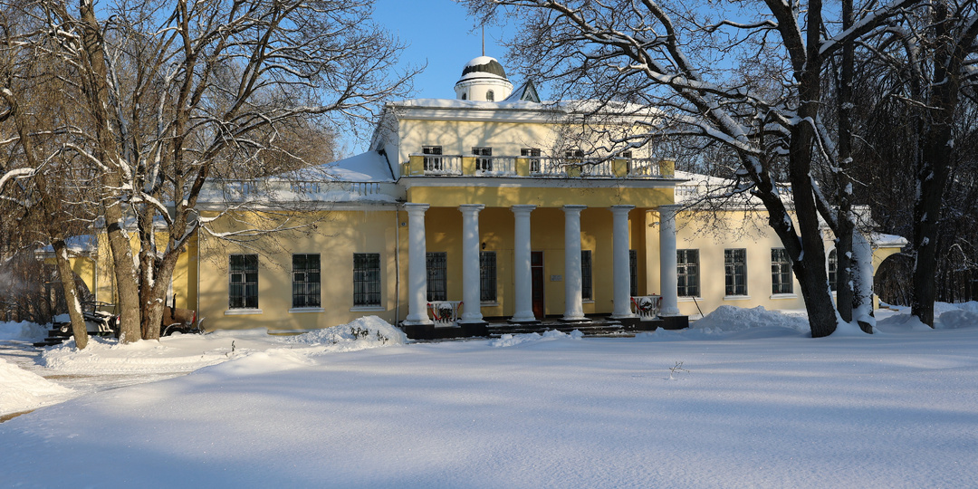Зимние стихотворения Федора Тютчева