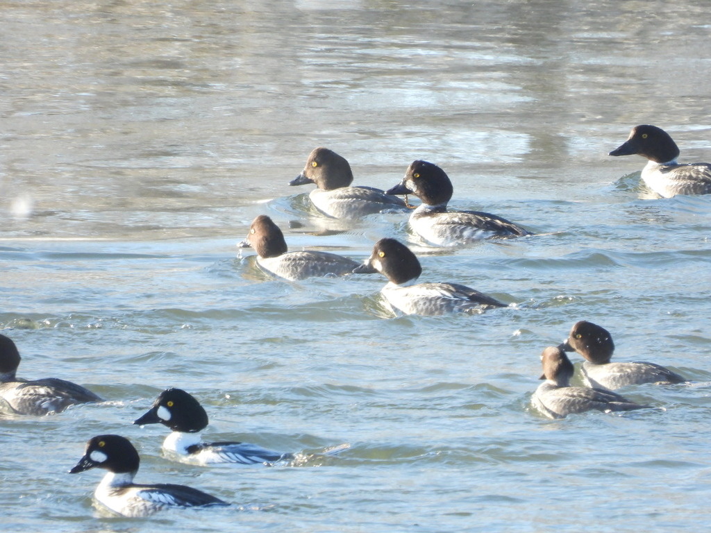 Фото tatjana_ivankina, Пензенская область