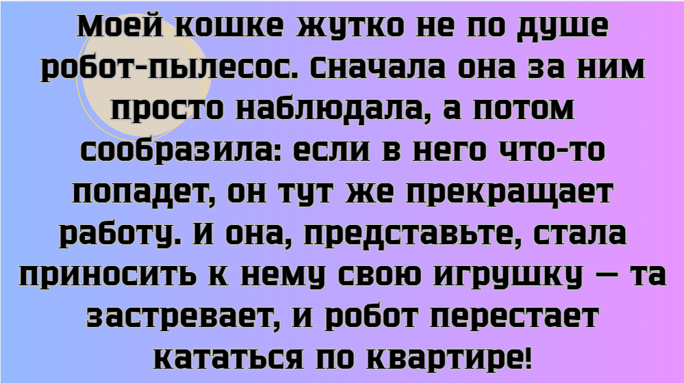 © Shapoklajk Lenusik