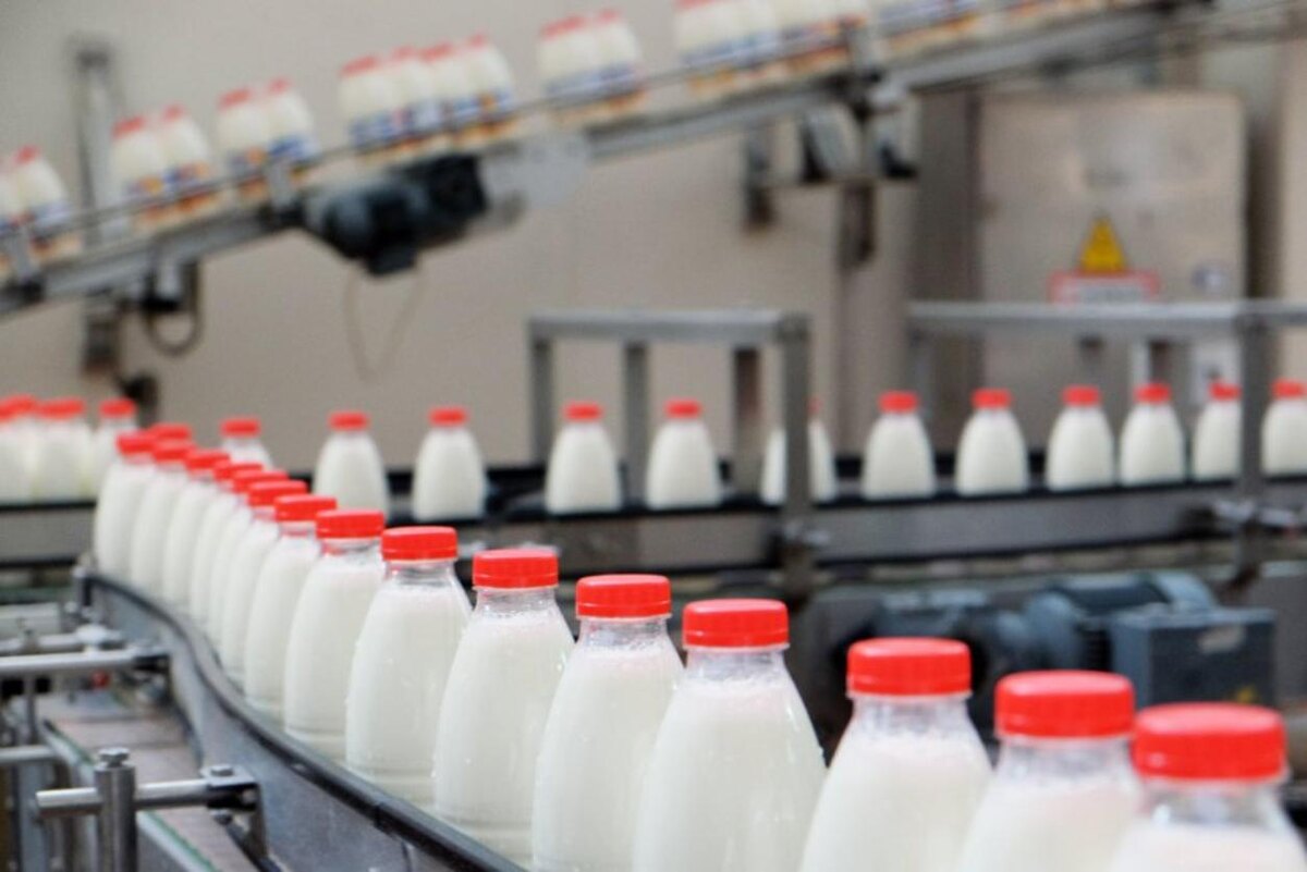 Фото: Николай Хижняк / РИА Новости