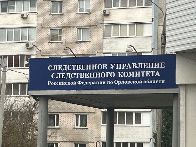     Фото: Марианна Альянова / "МК в Орле"