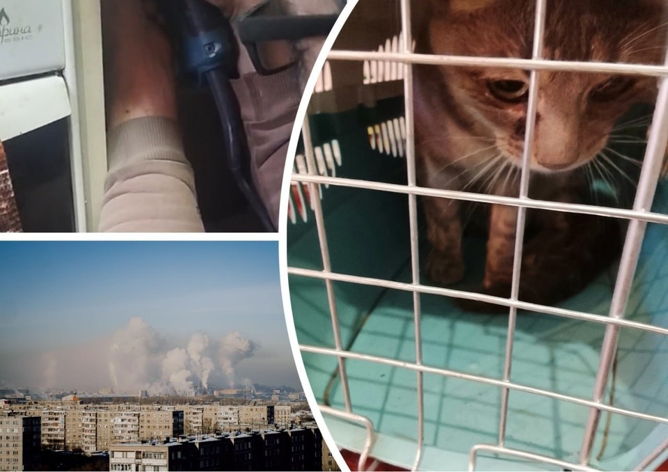    Питомец больше трех дней дожидался спасения в узкой и холодной шахте. Фото: предоставлено читателем КП-Челябинск