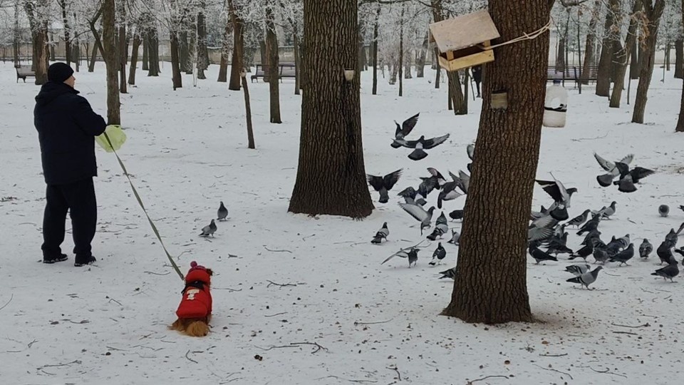    Жители наслаждаются красивым явлением, которое можно наблюдать зимой Денис ДОРОФЕЕВ