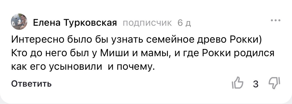 Кстати, тот самый комментарий, на который постараюсь немного ответить 😅!