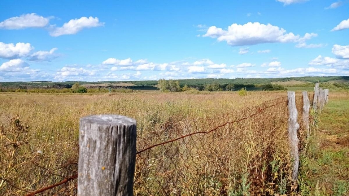   В 17 райцентрах Саратовской области модернизируют водопроводыНовости Саратова и области – Сетевое издание «Репортер64»
