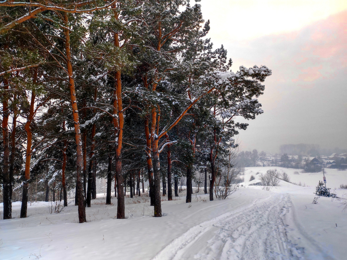 Фото автора Лесной городок 