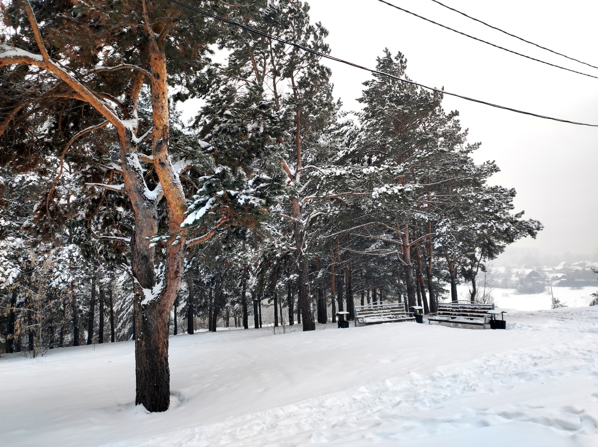 Фото автора 