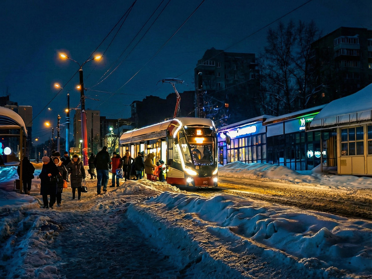     фото принадлежит SM-News, автор - Светлана Мулыкина