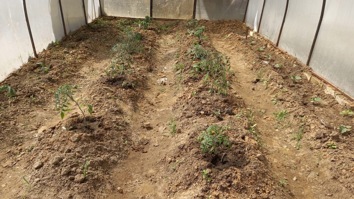 Испытательный полигон