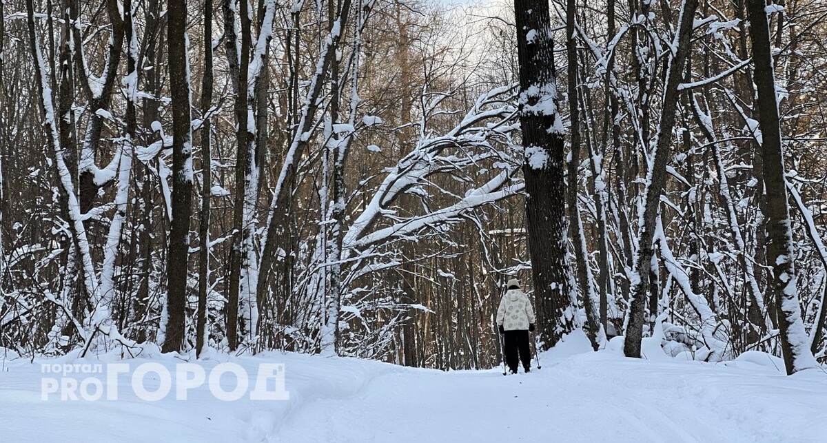    из архива "Про Город"
