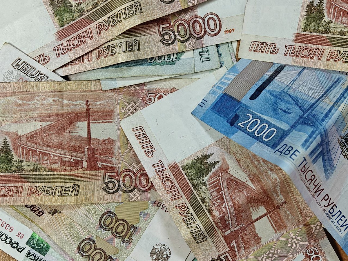    Фото: Юрий Серебренников/BFM Кубань