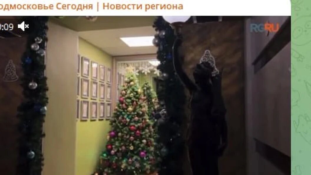    Такой нарядный подъезд в бывшем доме Долиной. Фото: скрин видео тг-канала Подмосковье сегодня.