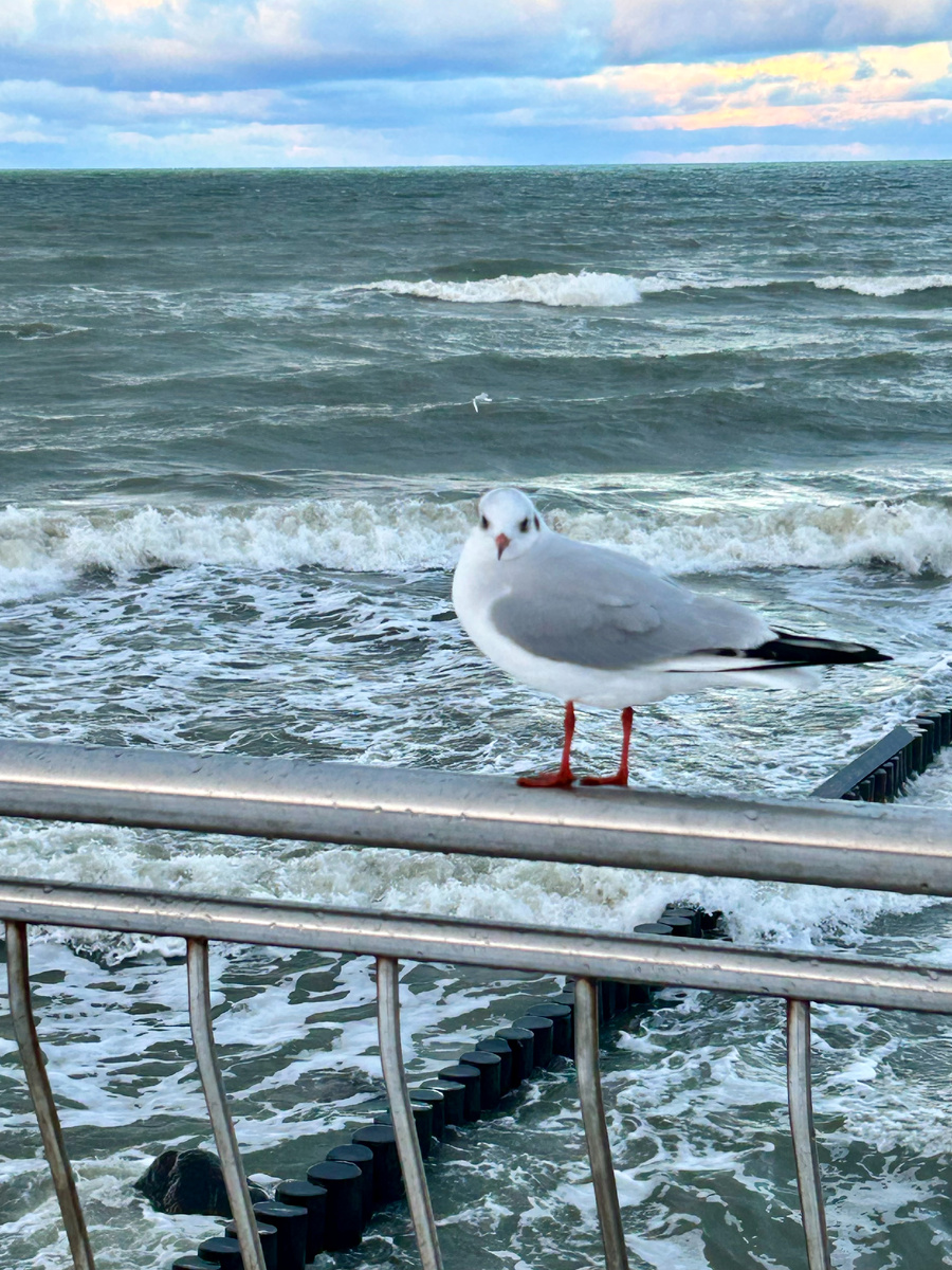 Балтийское море (фото автора)