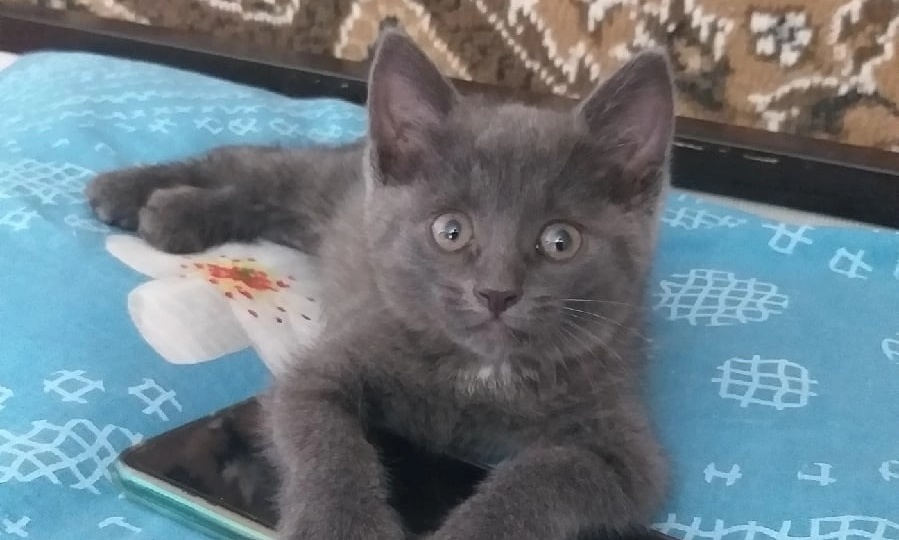 Выкинули на трассе