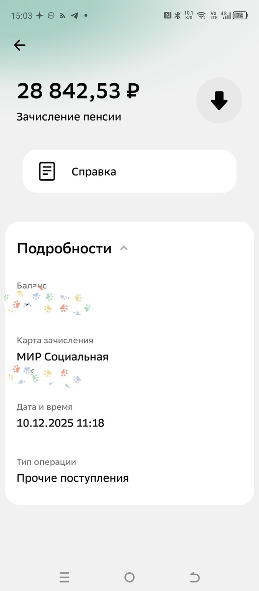 скриншот пенсии, которая была в прошлом году
