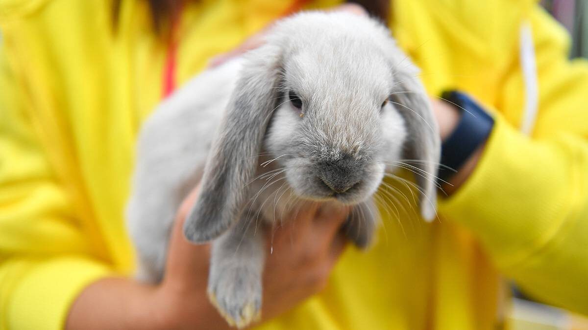    Фото: Сергей Киселев / АГН Москва