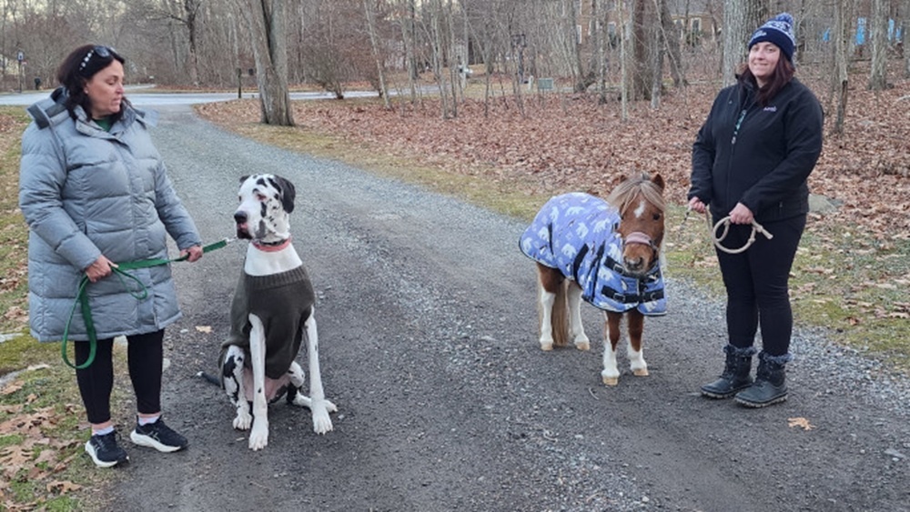     Фото: guinnessworldrecords.com