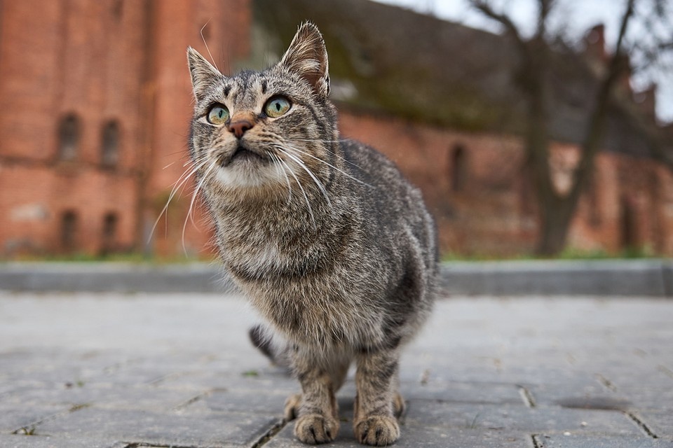    Работодатель отказался признавать причину уважительной Николай ОБЕРЕМЧЕНКО