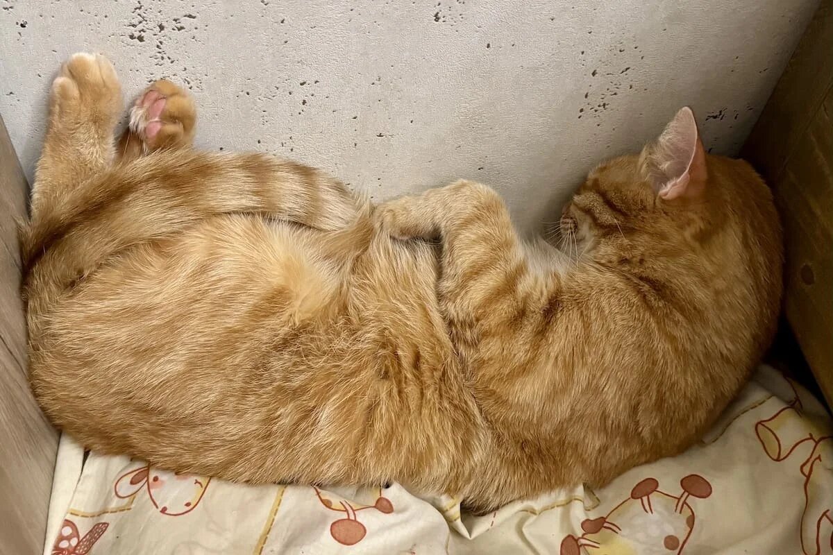 Фото: UfacityNews.ru