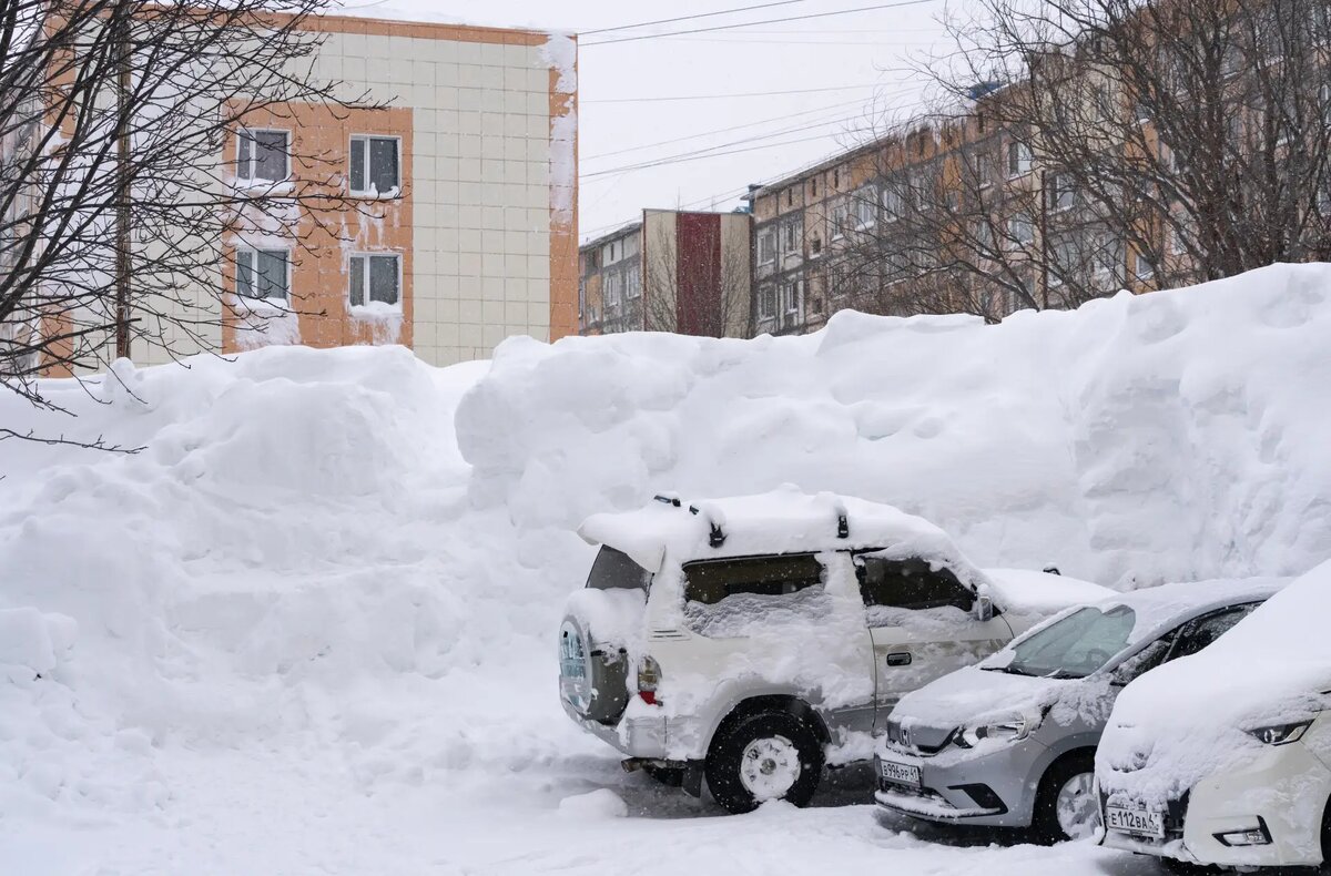     © РИА Новости. Александр Пирагис