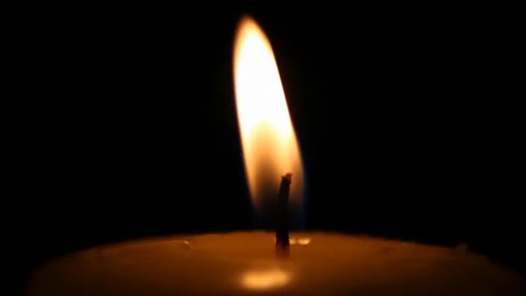    фото: Коллаж Царьграда