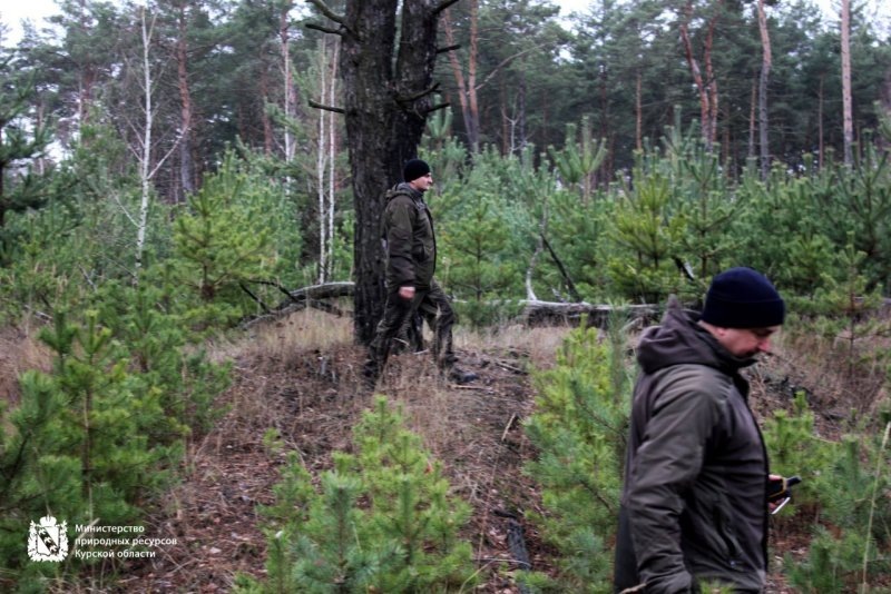     © фото - тг-канал Министерства природных ресурсов Курской области