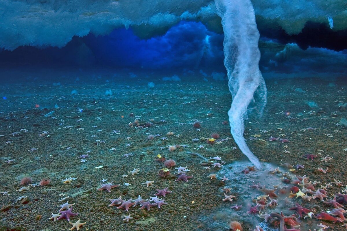 Источник: https://clck.su/dgyFo