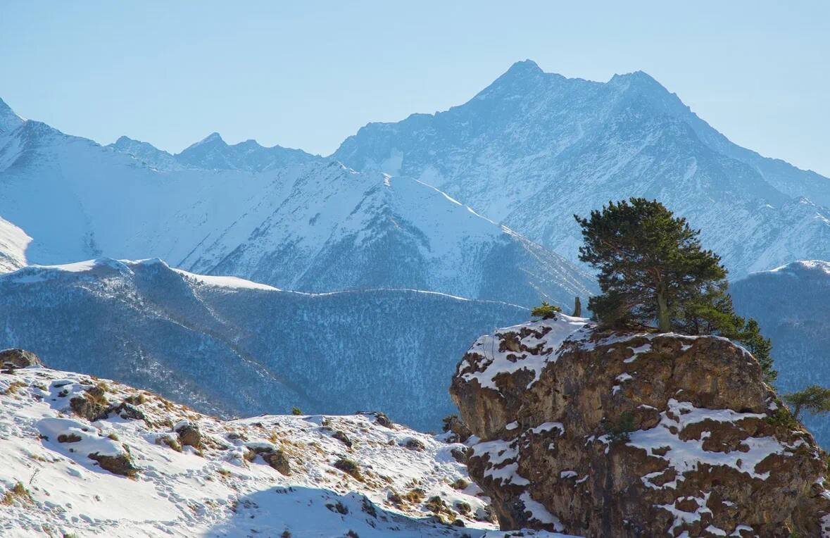 тг-канал главы Республики Ингушетия
