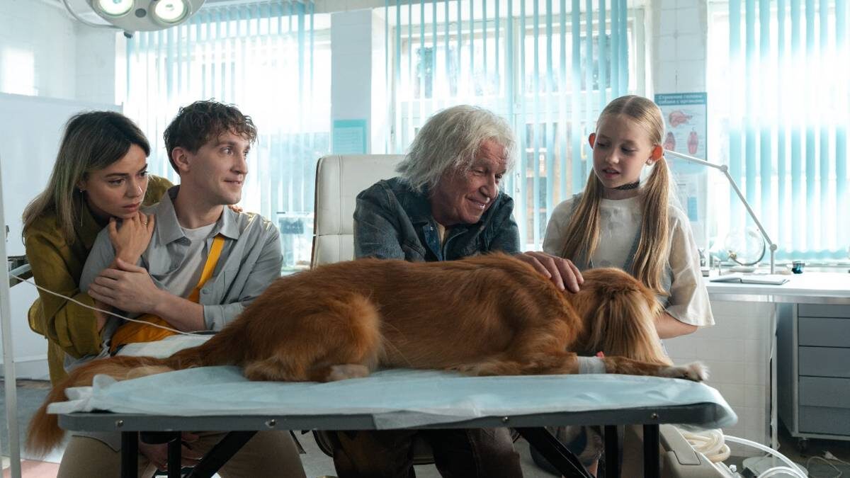    Фото: Доктор Гаф, 2026 год