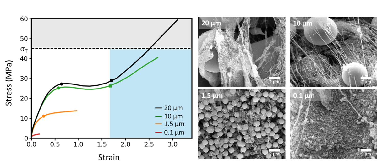 [Предоставлено Университетом Аджу]