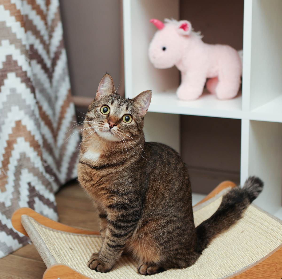 А по мне и видно, что я простушка