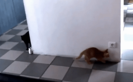 © Cloverfieldstarlord 