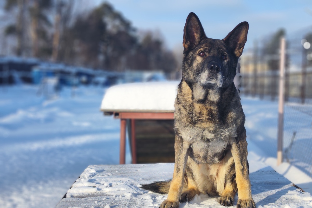    УФСИН Костромской области